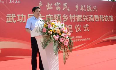 陜西武功鄉村振興消費幫扶館開館