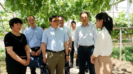 中央統(tǒng)戰(zhàn)部來涇陽調(diào)研基層統(tǒng)戰(zhàn)工作